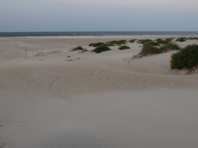 Frisco Campground NPS site among the dunes on Hatteras Island, NC