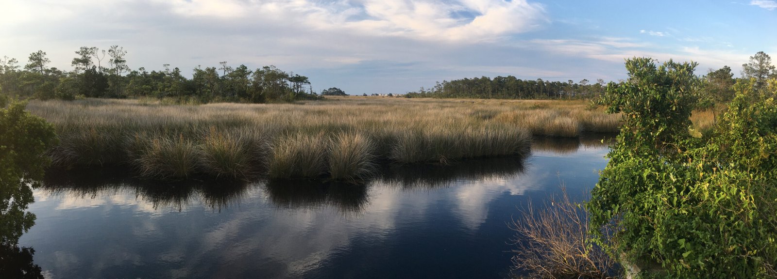 Roanoke Island Marshes panorama near OBX Campground in the Manteo area