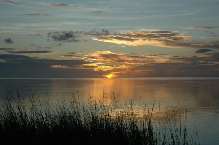 Sun setting over the sound with tall sea grass in the foreground, Outer Banks