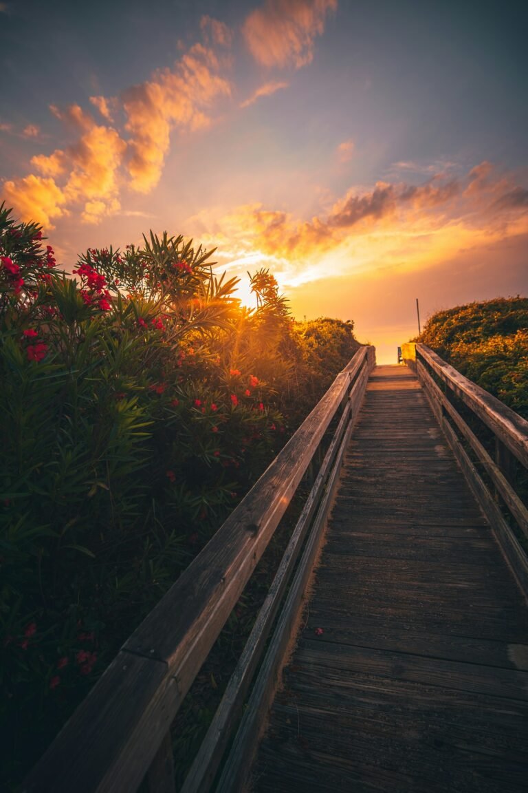 Wooden beach access bridge winding through sea oats at sunset, Outer Banks