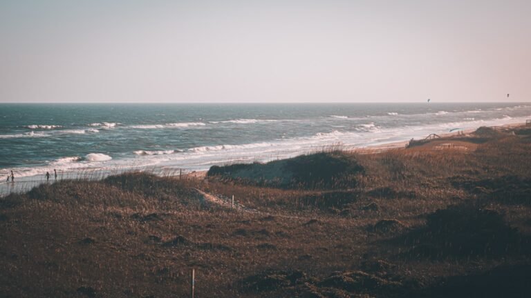 Brown coastal grass field near the sound on the Outer Banks