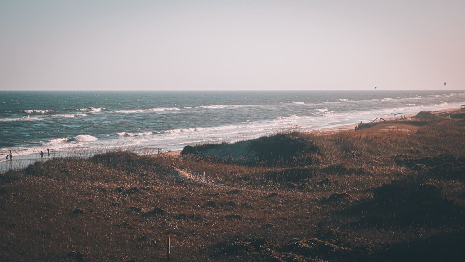 Brown coastal grass field near the sound on the Outer Banks