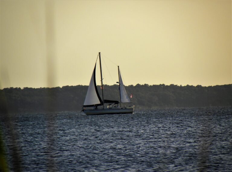 Outer Banks sound-side landscape