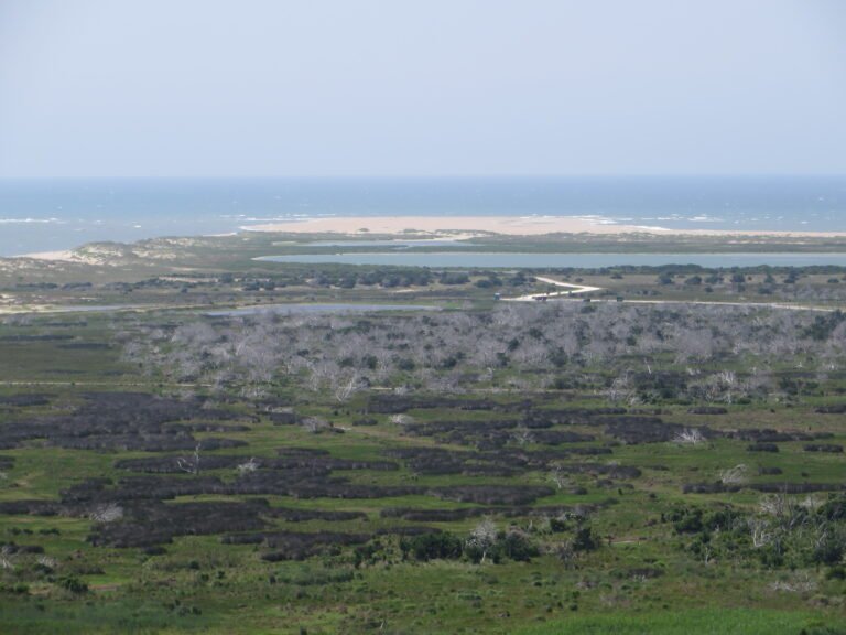 View south from Cape Hatteras Lighthouse toward Cape Point and Buxton