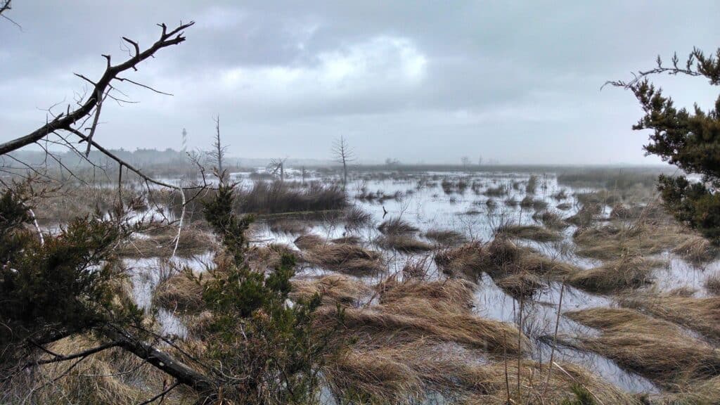 Low grey cloud over marsh and a distant building on the last day of winter.