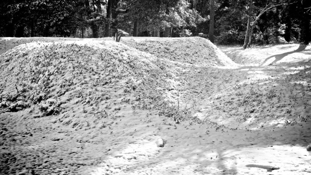 A low reconstructed earthen fortification wall surrounded by woodland at Fort Raleigh.
