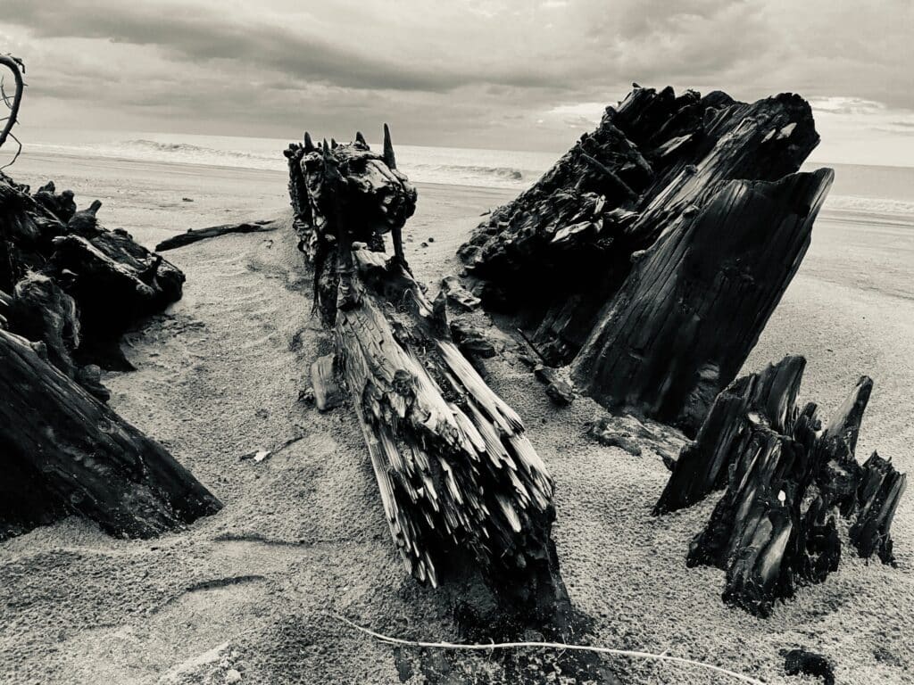 Blackened wooden ribs and timbers of the wrecked schooner G.A. Kohler exposed on the sand.