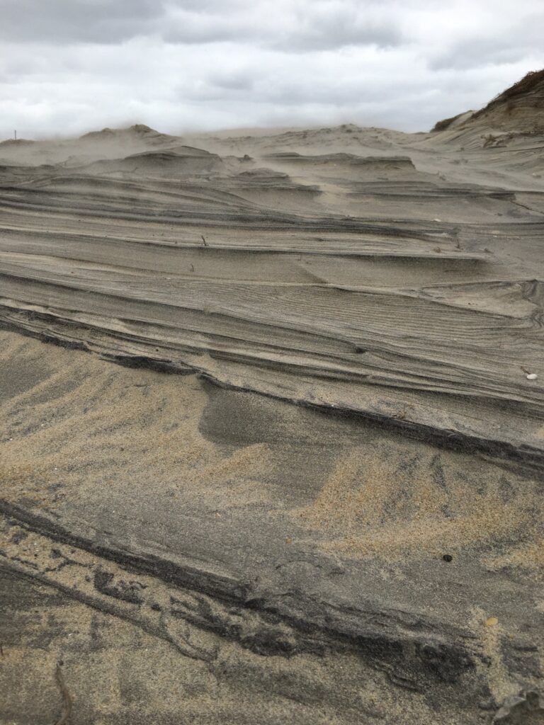 Wind-cut sand dunes with exposed faces on Bodie Island during the off season.